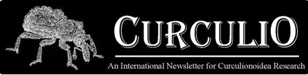 Curculio logo