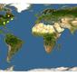 Discover Life: Point Map of Conotrachelus nenuphar